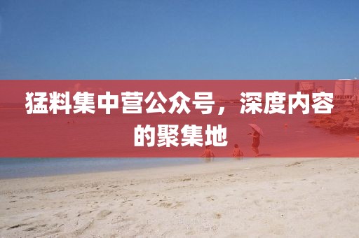 猛料集中营公众号，深度内容的聚集地