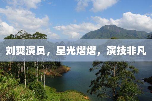 刘爽演员，星光熠熠，演技非凡