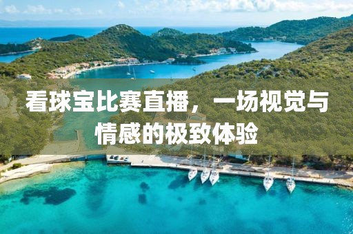 看球宝比赛直播，一场视觉与情感的极致体验
