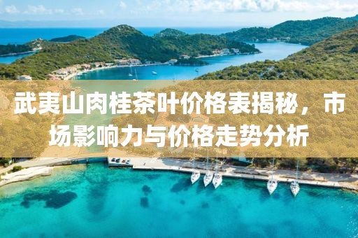武夷山肉桂茶叶价格表揭秘，市场影响力与价格走势分析