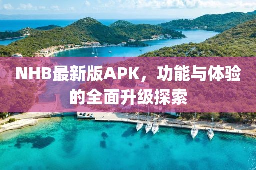NHB最新版APK，功能与体验的全面升级探索