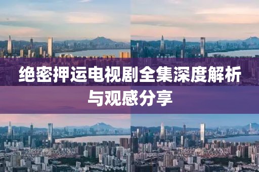 绝密押运电视剧全集深度解析与观感分享