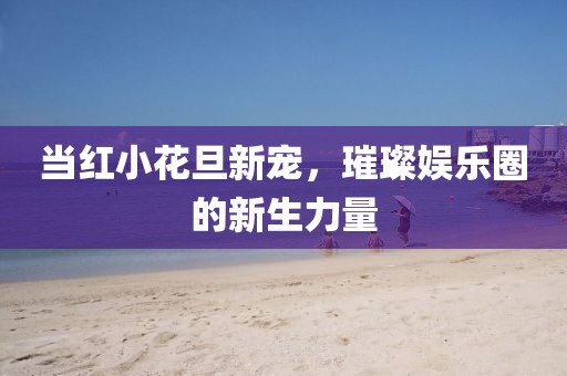 当红小花旦新宠，璀璨娱乐圈的新生力量