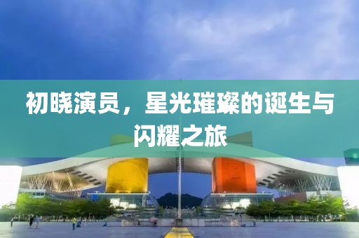 初晓演员，星光璀璨的诞生与闪耀之旅