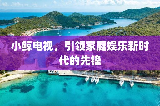 小鲸电视，引领家庭娱乐新时代的先锋
