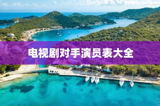 电视剧对手演员表大全