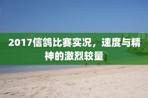 2017信鸽比赛实况，速度与精神的激烈较量