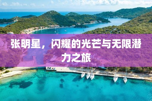 张明星，闪耀的光芒与无限潜力之旅