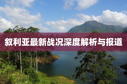 叙利亚最新战况深度解析与报道