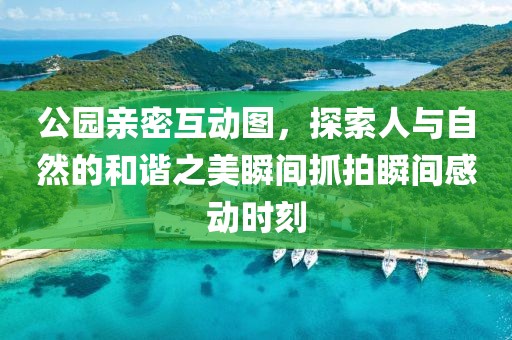 公园亲密互动图，探索人与自然的和谐之美瞬间抓拍瞬间感动时刻