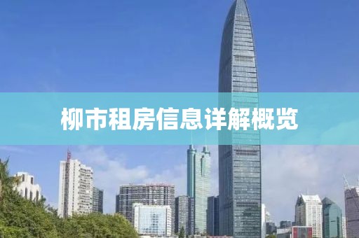 柳市租房信息详解概览