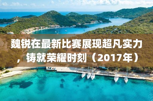 魏锐在最新比赛展现超凡实力，铸就荣耀时刻（2017年）