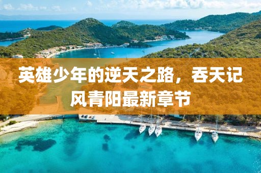 英雄少年的逆天之路，吞天记风青阳最新章节