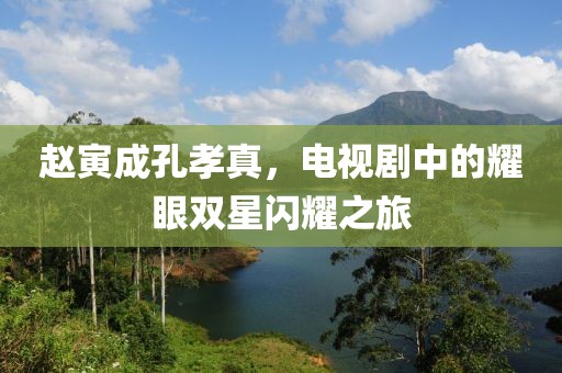赵寅成孔孝真，电视剧中的耀眼双星闪耀之旅