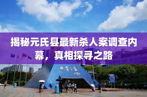 揭秘元氏县最新杀人案调查内幕，真相探寻之路