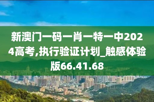 新澳门一码一肖一特一中2024高考,执行验证计划_触感体验版66.41.68