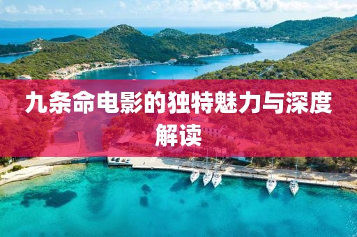 九条命电影的独特魅力与深度解读