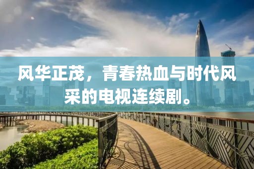 风华正茂，青春热血与时代风采的电视连续剧。