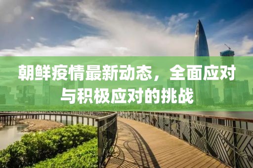 朝鲜疫情最新动态，全面应对与积极应对的挑战