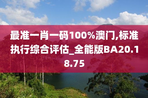 最准一肖一码100%澳门,标准执行综合评估_全能版BA20.18.75