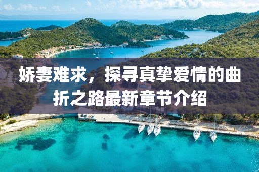 娇妻难求，探寻真挚爱情的曲折之路最新章节介绍