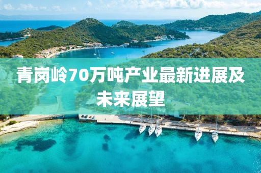 青岗岭70万吨产业最新进展及未来展望