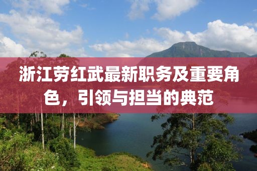 浙江劳红武最新职务及重要角色，引领与担当的典范