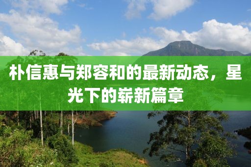 朴信惠与郑容和的最新动态，星光下的崭新篇章