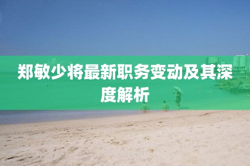 郑敏少将最新职务变动及其深度解析