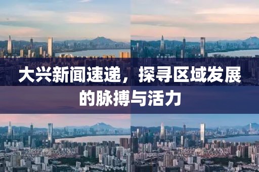 大兴新闻速递，探寻区域发展的脉搏与活力