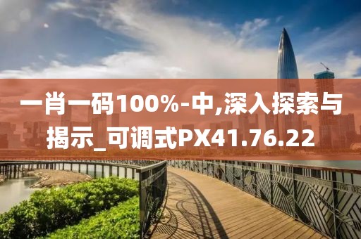 一肖一码100%-中,深入探索与揭示_可调式PX41.76.22
