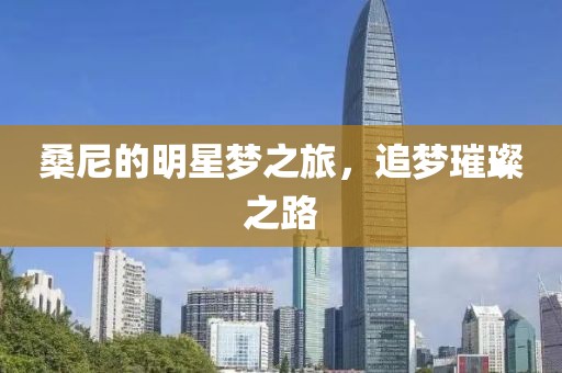 桑尼的明星梦之旅，追梦璀璨之路