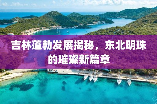 吉林蓬勃发展揭秘，东北明珠的璀璨新篇章