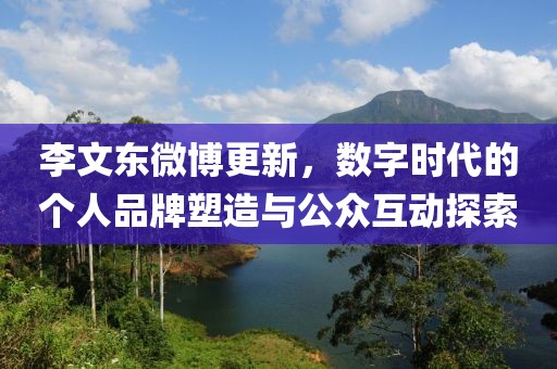 李文东微博更新，数字时代的个人品牌塑造与公众互动探索