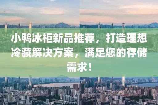 小鸭冰柜新品推荐，打造理想冷藏解决方案，满足您的存储需求！