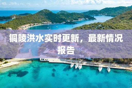 铜陵洪水实时更新，最新情况报告