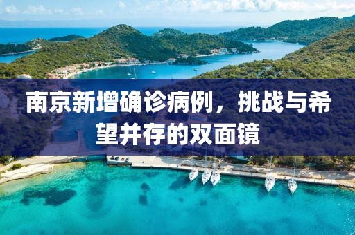 南京新增确诊病例，挑战与希望并存的双面镜