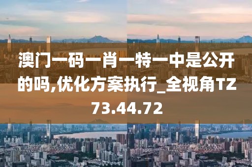 澳门一码一肖一特一中是公开的吗,优化方案执行_全视角TZ73.44.72