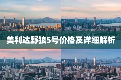 美利达野狼5号价格及详细解析