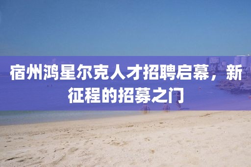 宿州鸿星尔克人才招聘启幕，新征程的招募之门