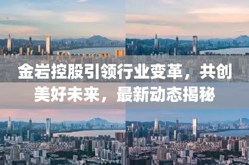 金岩控股引领行业变革，共创美好未来，最新动态揭秘