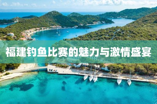 福建钓鱼比赛的魅力与激情盛宴