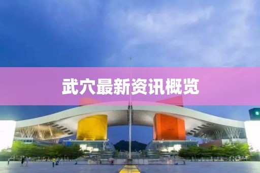 武穴最新资讯概览