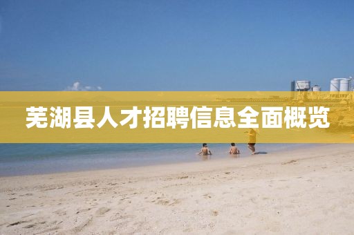 芜湖县人才招聘信息全面概览
