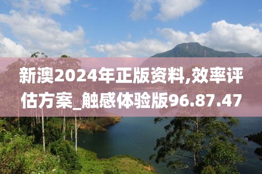 新澳2024年正版资料,效率评估方案_触感体验版96.87.47