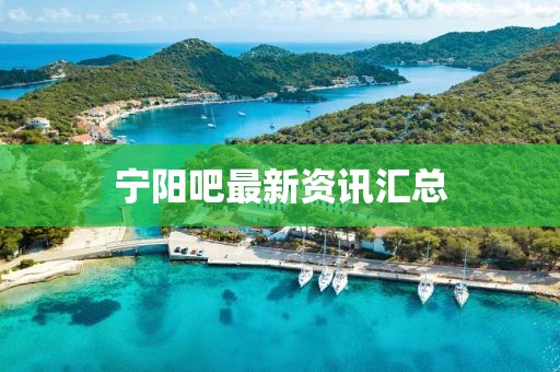宁阳吧最新资讯汇总