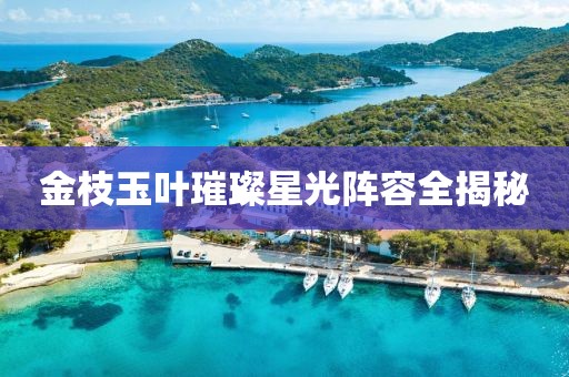 金枝玉叶璀璨星光阵容全揭秘