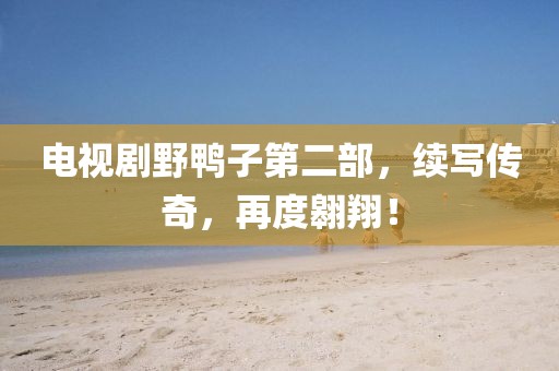 电视剧野鸭子第二部，续写传奇，再度翱翔！