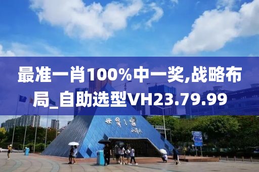 最准一肖100%中一奖,战略布局_自助选型VH23.79.99