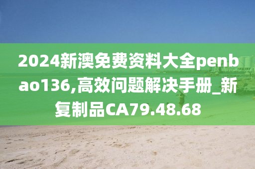 2024新澳免费资料大全penbao136,高效问题解决手册_新复制品CA79.48.68
